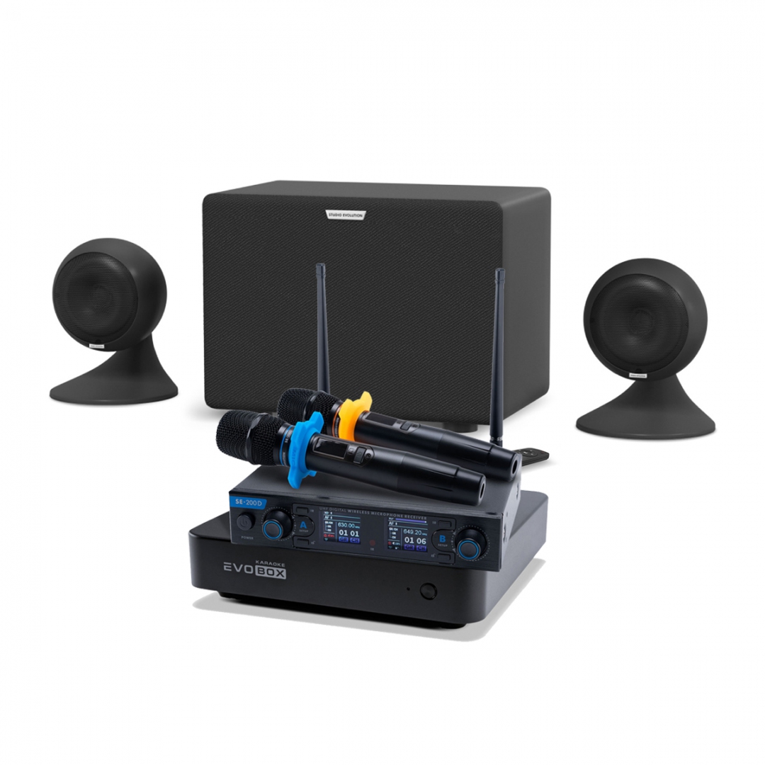 караоке-комплект EVOBOX + EvoSound Sphere 2.1 в Карталах