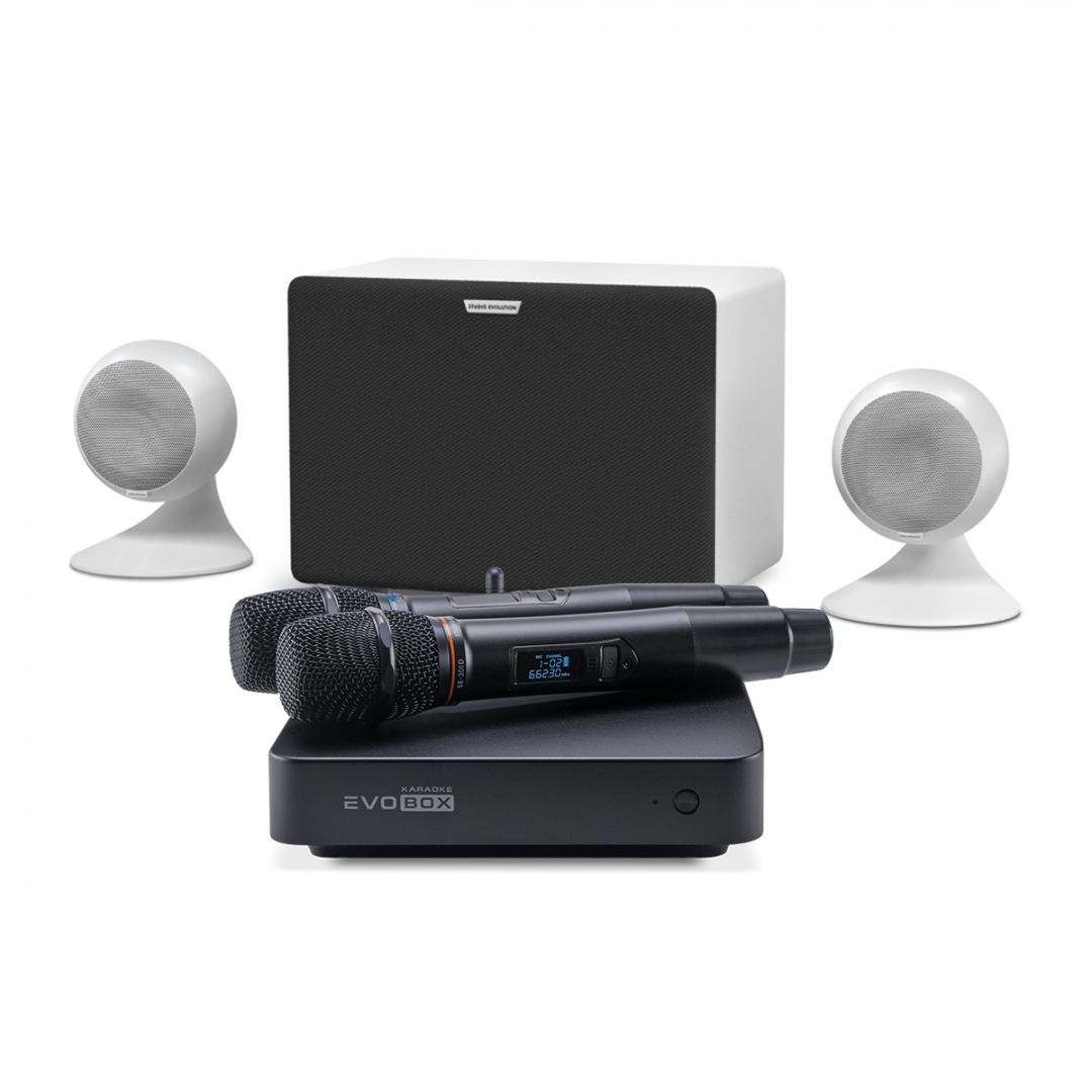 караоке-комплект EVOBOX Classic + EvoSound Sphere 2.1 в Карталах