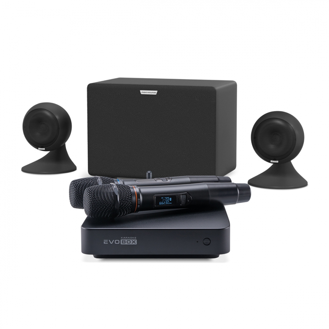 караоке-комплект EVOBOX Plus + EvoSound Sphere 2.1 в Карталах