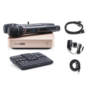 EVOBOX Classic караоке-система для дома в Карталах