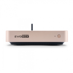 EVOBOX Plus караоке-система для дома в Карталах