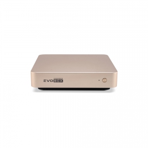EVOBOX с микрофонами в Карталах